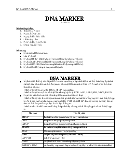 Đề tài Kỹ thuật DNA Marker