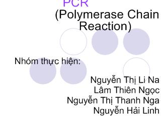 Đề tài Nghiên cứu PCR (Polymerase Chain Reaction)