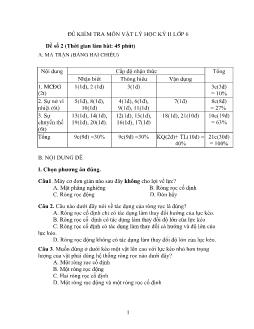 Kiểm tra môn Vật lý Lớp 6 - Học kì 2 (Đề 2)