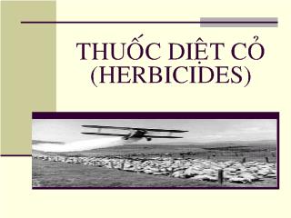 Bài giảng Thuốc diệt cỏ (herbicides)