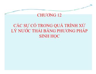 Bài giảng Các sự cố trong quá trình xử lý nước thải bằng phương pháp sinh học