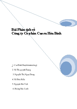 Bài phân tích về công ty cổ phần cao su Hòa Bình