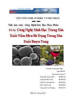 Đề tài Công nghệ sinh học trong sản xuất nấm men sử dụng trong sản xuất rượu vang