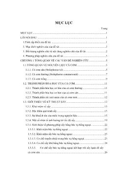 Đề tài Nghiên cứu ảnh hưởng của nhiệt độ đối với sản p hẩm cá cơm săn trong phương pháp sấy hồng ngoại kết hợp với sấy lạnh