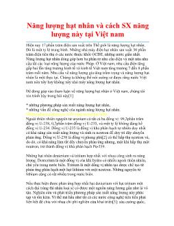 Năng lượng hạt nhân và cách sản xuất năng lượng này tại Việt nam