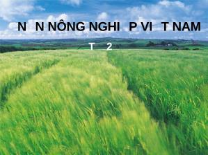 Nền nông nghiệp Việt Nam
