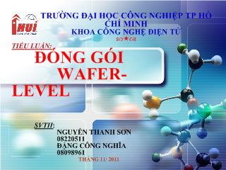 Tiểu luận Đóng gói wafer-Level