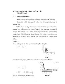 Tín hiệu điện tim và hệ thống các chuyển đạo