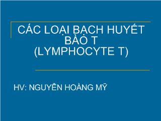 Bài giảng Các loại bạch huyết bào T (lymphocyte t)