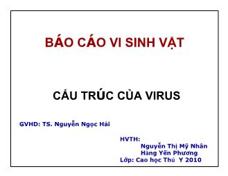 Báo cáo Cấu trúc của virus cấu trúc của virus