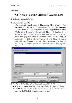 Xử lý các File trong Microsoft Access 2000