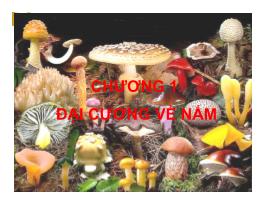 Bài giảng Đại cương về nấm