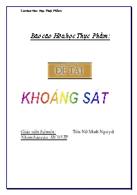 Báo cáo Khoáng sắt