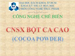 Đề tài Công nghệ sản xuất bột ca cao (cocoa powder)