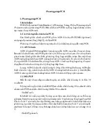 Đề tài Nghiên cứu phương pháp PCR