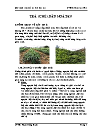 Đề tài Quy trình sản xuất trà dâu hoà tan