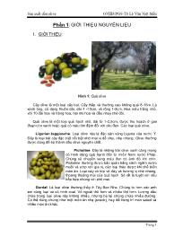 Đề tài Sản xuất dầu olive
