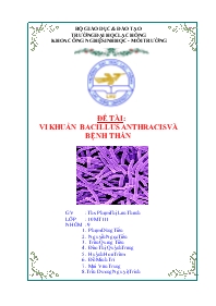 Đề tài Vi khuẩn bacillus anthracis và bệnh than