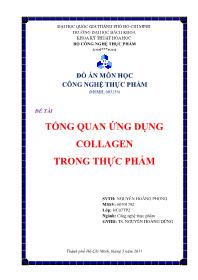 Đồ án Tổng quan ứng dụng collagen trong thực phẩm