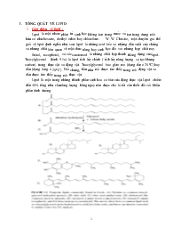 Tổng quát về lipid