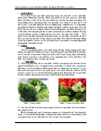 Ứng dụng các quá trình nhiệt trong chế biến rau trái