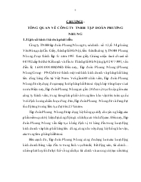 Đề tài Tổng quan về công ty TNHH tập đoàn Phương Nhung