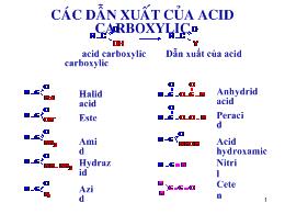 Đề tài Các dẫn xuất của acid carboxylic