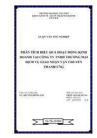 Luận văn Phân tích hiệu quả hoạt động kinh doanh tại công ty TNHH thương mại dịch vụ giao nhận vận chuyển Thanh Ưng