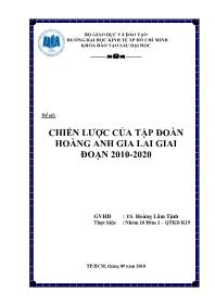 Đề tài Chiến lược của tập đoàn Hoàng Snh Gia Lai giai đoạn 2010-2020