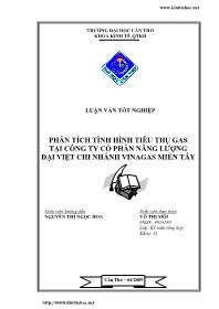 Luận văn Phân tích tình hình tiêu thụ gas tại công ty cổ phần năng lượng Đại Việt chi nhánh vinagas Miền Tây