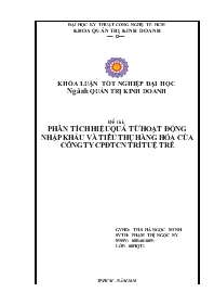 Đề tài Phân tích hiệu quả từ hoạt động nhập khẩu và tiêu thụ hàng hóa của công ty cổ phần đầu tư công nghệ trí tuệ trẻ