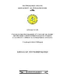 Đề tài Ứng dụng thương mại điện tử vào việc quảng bá thương hiệu cho ngành hàng gạo xuất khẩu của công ty cổ phần xuất nhập khẩu An Giang
