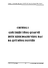 Giới thiệu tổng quan về doanh nghiệp tư nhân kinh doanh vàng bạc đá quý Hồng Nguyên