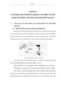 Đề tài Cơ sở khoa học để khẳng định sự cần thiết cần đẩy mạnh xuất khẩu giày dép sang thị trường Hoa Kỳ