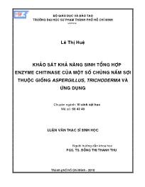 Luận văn Khảo sát khả năng sinh tổng hợp enzyme chitinase của một số chủng nấm sợi thuộc giống aspergillus, trichoderma và ứng dụng