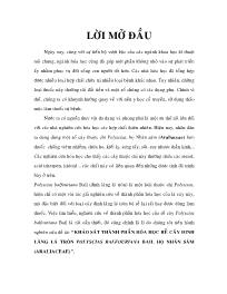 Luận văn Khảo sát thành phần hóa học rễ cây đinh lăng lá tròn polyscias balfouriana bail. họ nhân sâm (araliaceae)