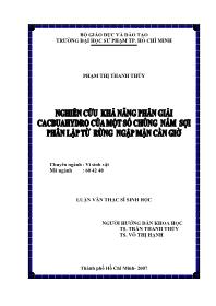 Luận văn Nghiên cứu khả năng phân giải cacbuahydro của một số chủng nấm sợi phân lập từ rừng ngập mặn Cần Giờ