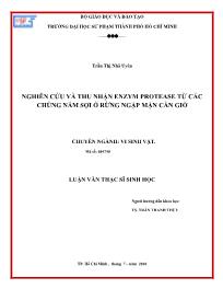 Luận văn Nghiên cứu và thu nhận enzym protease từ các chủng nấm sợi ở rừng ngập mặn Cần Giờ