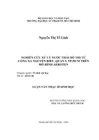 Luận văn Nghiên cứu xử lý nước thải đô thị từ cống xả Nguyễn Biểu, quận 5, thành phố Hồ Chí Minh trên mô hình aeroten