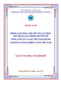 Luận văn Những giải pháp chủ yếu tái cấu trúc vốn trong quá trình chuyển đổi tổng công ty cao su Việt Nam thành tập đoàn công nghiệp cao su Việt Nam