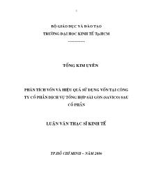 Luận văn Phân tích vốn và hiệu quả sử dụng vốn tại công ty cổ phần dịch vụ tổng hợp Sài Gòn (Savico) sau cổ phần