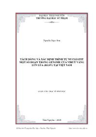 Luận văn Tách dòng và xác định trình tự nucleotit một số đoạn trong genome của virut vàng lùn lúa (rgsv) tại Việt Nam