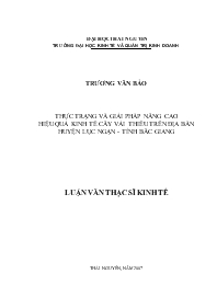 Luận văn Thực trạng và giải pháp nâng cao hiệu quả kinh tế cây vải thiều trên địa bàn huyện Lục Ngạn - Tỉnh Bắc Giang