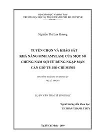 Luận văn Tuyển chọn và khảo sát khả năng sinh amylase của một số chủng nấm sợi từ rừng ngập mặn Cần Giờ thành phố Hồ Chí Minh