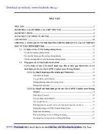 Luận văn Ứng dụng các lý thuyết đầu tư tài chính hiện đại trên thị trường chứng khoán Việt Nam