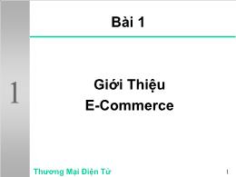 Giới thiệu e - Commerce