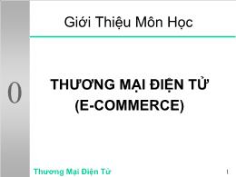 Thương mại điện tử (E - Commerce)