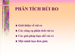 Bài giảng môn Kế toán - Phân tích rủi ro