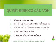 Bài giảng môn Kế toán - Quyết định cơ cấu vốn