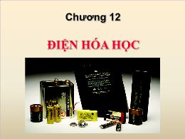 Bài giảng môn Sinh học - Chương 12: Điện hóa học